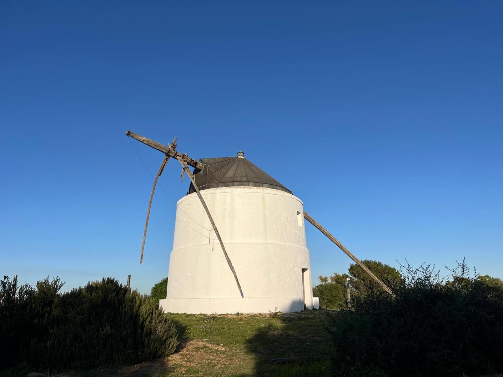 Estudio Los Mellis Vejer de la Frontera Exteriér fotografie